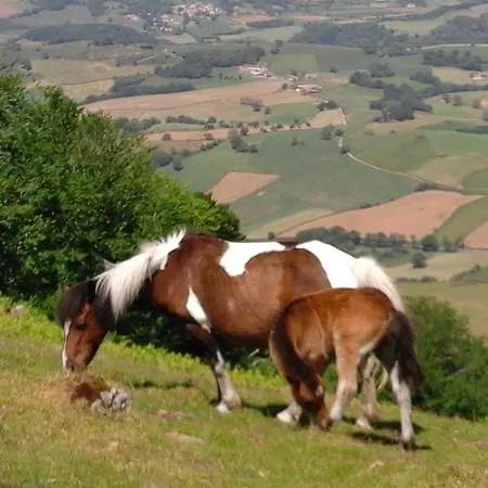 Lägenhet Cosy Au Calme *