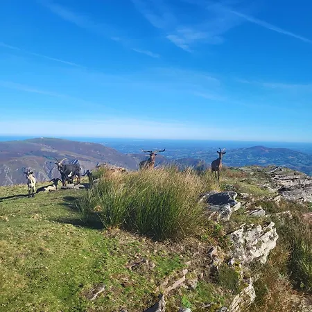 Cosy Au Calme Hasparren